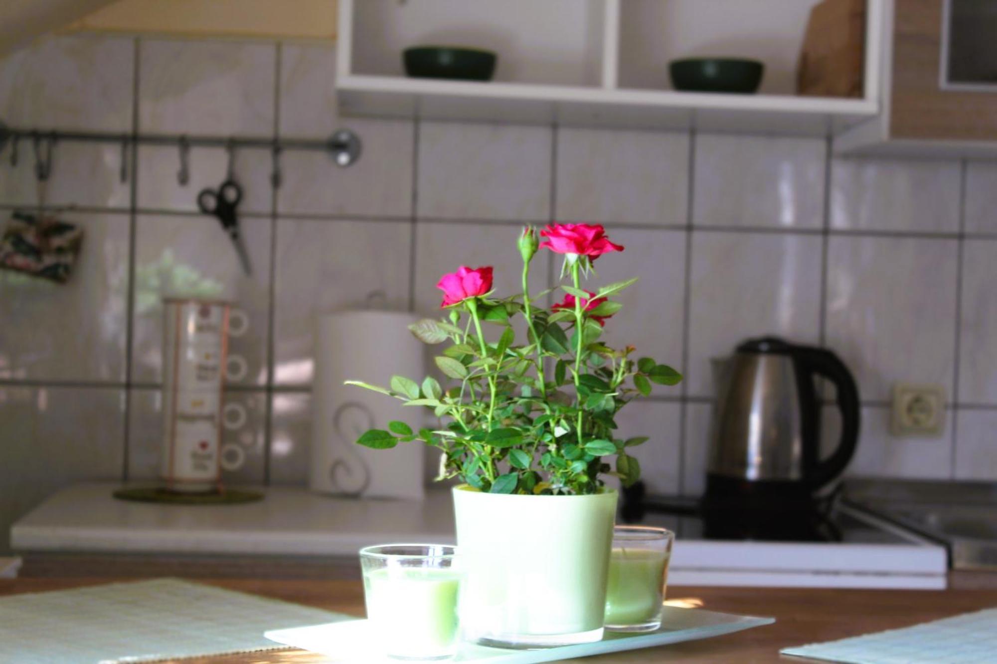 Svila Apartmani Bihac Bagian luar foto